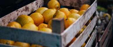 Eine Holzkiste gefüllt mit Zitronen