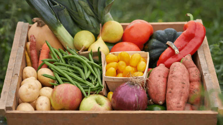 Box mit vielen verschiedenen Gemüsearten wie Lauch, Kartoffeln, Bohnen und Kürbis