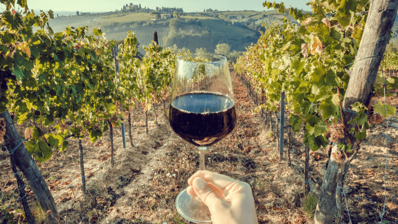 Weinglas wird vor Weinbergen hochgehalten, im Hintergrund sieht man weiter entfernt eine Burg